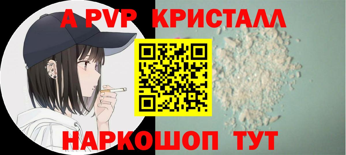 Альфа ПВП СК Новороссийск